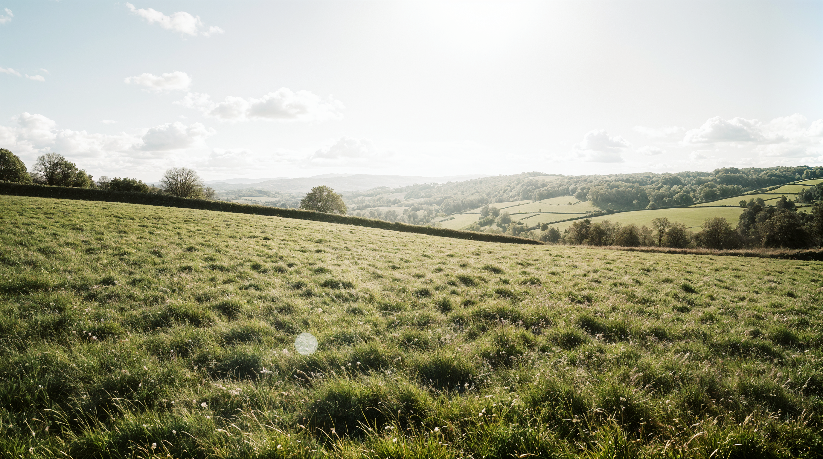 SwapSpace hero background